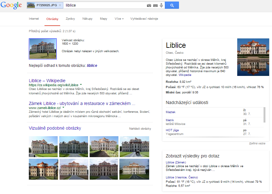 Google image reverse search example
